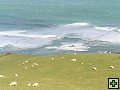 thn_The Catlins Coast 031.jpg